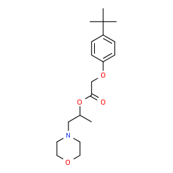 ChemSpider 2D Image | 1-(4-Morpholinyl)-2-propanyl [4-(2-methyl-2-propanyl)phenoxy]acetate | C19H29NO4