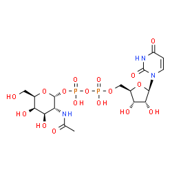 ChemSpider 2D Image | UDP-N-acetyl-alpha-D-galactosamine | C17H27N3O17P2