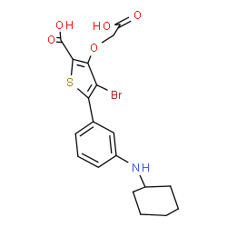 ChemSpider 2D Image | 4-Bromo-3-(carboxymethoxy)-5-[3-(cyclohexylamino)phenyl]-2-thiophenecarboxylic acid | C19H20BrNO5S