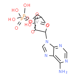 ChemSpider 2D Image | [6-(6-aminopurin-9-yl)-3-hydroxy-3-oxo-2,4,7-trioxa-3$l^{5}-vanadabicyclo[3.3.0]octan-8-yl]methyl phosphono hydrogen phosphate | C10H14N5O12P2V