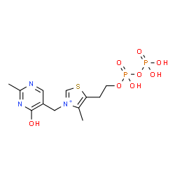 ChemSpider 2D Image | 3-[(4-Hydroxy-2-methyl-5-pyrimidinyl)methyl]-5-(2-{[hydroxy(phosphonooxy)phosphoryl]oxy}ethyl)-4-methyl-1,3-thiazol-3-ium | C12H18N3O8P2S