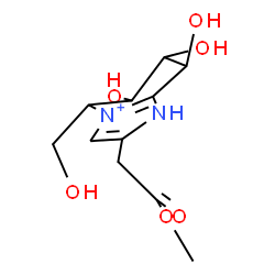 ChemSpider 2D Image | 6,7,8-Trihydroxy-5-(hydroxymethyl)-2-(2-methoxy-2-oxoethyl)-5,6,7,8-tetrahydro-1H-imidazo[1,2-a]pyridin-4-ium | C11H17N2O6