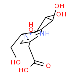ChemSpider 2D Image | 2-(Carboxymethyl)-6,7,8-trihydroxy-5-(hydroxymethyl)-5,6,7,8-tetrahydro-1H-imidazo[1,2-a]pyridin-4-ium | C10H15N2O6