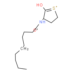 ChemSpider 2D Image | 3-(Decanoylamino)-2-oxotetrahydrothiophenium | C14H26NO2S