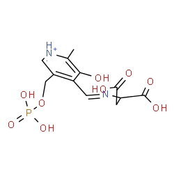 ChemSpider 2D Image | (E)-N-({3-Hydroxy-2-methyl-5-[(phosphonooxy)methyl]-4-pyridiniumyl}methylene)aspartic acid | C12H16N2O9P