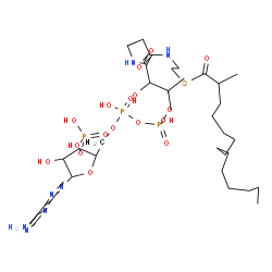 ChemSpider 2D Image | S-{1-[5-(6-Amino-9H-purin-9-yl)-4-hydroxy-3-(phosphonooxy)tetrahydro-2-furanyl]-3,5,9-trihydroxy-8,8-dimethyl-3,5-dioxido-10,14-dioxo-2,4,6-trioxa-11,15-diaza-3lambda~5~,5lambda~5~-diphosphaheptadecan
-17-yl} 2-methyltetradecanethioate | C36H64N7O17P3S