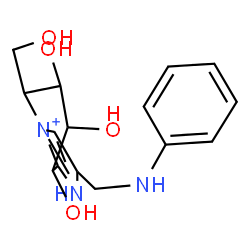 ChemSpider 2D Image | 2-(Anilinomethyl)-6,7,8-trihydroxy-5-(hydroxymethyl)-5,6,7,8-tetrahydro-1H-imidazo[1,2-a]pyridin-4-ium | C15H20N3O4