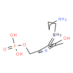 ChemSpider 2D Image | (4-{[(5-Aminopentyl)imino]methyl}-5-hydroxy-6-methyl-3-pyridinyl)methyl dihydrogen phosphate | C13H22N3O5P