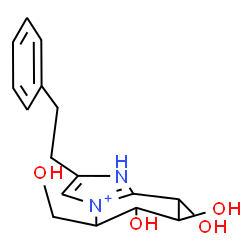 ChemSpider 2D Image | 6,7,8-Trihydroxy-5-(hydroxymethyl)-2-(2-phenylethyl)-5,6,7,8-tetrahydro-1H-imidazo[1,2-a]pyridin-4-ium | C16H21N2O4