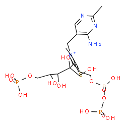 ChemSpider 2D Image | 2-[3-[(4-amino-2-methyl-pyrimidin-5-yl)methyl]-4-methyl-2-[1,2,3-trihydroxy-1-(hydroxymethyl)-4-phosphonooxy-butyl]thiazol-3-ium-5-yl]ethyl phosphono hydrogen phosphate | C17H30N4O15P3S