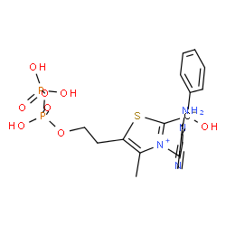 ChemSpider 2D Image | C2-1-HYDROXYPHENYL-THIAMIN DIPHOSPHATE | C19H24N4O8P2S
