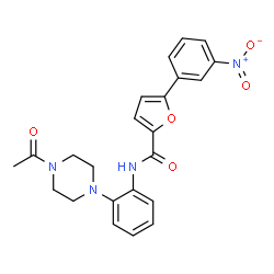 ChemSpider 2D Image | N-[2-(4-Acetyl-1-piperazinyl)phenyl]-5-(3-nitrophenyl)-2-furamide | C23H22N4O5