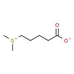 ChemSpider 2D Image | 5-(Dimethylsulfonio)pentanoate | C7H14O2S