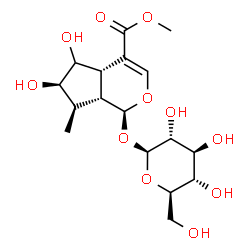 ChemSpider 2D Image | Methyl (1S,4aS,6R,7R,7aR)-1-(beta-D-glucopyranosyloxy)-5,6-dihydroxy-7-methyl-1,4a,5,6,7,7a-hexahydrocyclopenta[c]pyran-4-carboxylate | C17H26O11