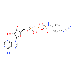 ChemSpider 2D Image | 5'-O-[{[({[(4-Azidophenyl)amino](hydroxy)phosphoryl}oxy)(hydroxy)phosphoryl]oxy}(hydroxy)phosphoryl]adenosine | C16H21N9O12P3