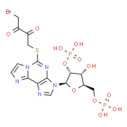 ChemSpider 2D Image | 5-[(4-Bromo-2,3-dioxobutyl)sulfanyl]-3-(2,5-di-O-phosphono-beta-D-ribofuranosyl)-3H-imidazo[2,1-i]purine | C16H18BrN5O12P2S