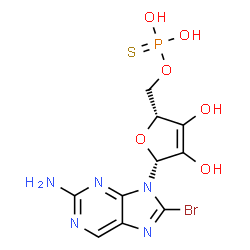 ChemSpider 2D Image | O-{[(2R,5R)-5-(2-Amino-8-bromo-9H-purin-9-yl)-3,4-dihydroxy-2,5-dihydro-2-furanyl]methyl} dihydrogen phosphorothioate | C10H11BrN5O6PS