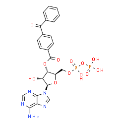 ChemSpider 2D Image | 3'-O-(4-Benzoylbenzoyl)adenosine 5'-(trihydrogen diphosphate) | C24H23N5O12P2
