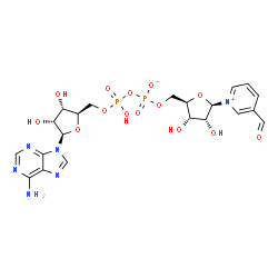 ChemSpider 2D Image | [[(2R,3S,4R,5R)-5-(6-aminopurin-9-yl)-3,4-dihydroxy-tetrahydrofuran-2-yl]methoxy-hydroxy-phosphoryl] [(2R,3S,4R,5R)-5-(3-formylpyridin-1-ium-1-yl)-3,4-dihydroxy-tetrahydrofuran-2-yl]methyl phosphate | C21H26N6O14P2