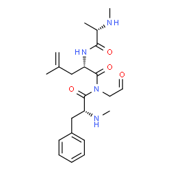 ChemSpider 2D Image | N-Methyl-L-alanyl-N-[(2R)-2-(methylamino)-3-phenylpropanoyl]-4-methylene-N-(2-oxoethyl)-L-norvalinamide | C22H32N4O4