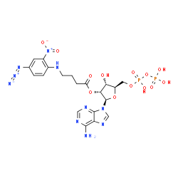 ChemSpider 2D Image | 2'-O-{4-[(4-Azido-2-nitrophenyl)amino]butanoyl}adenosine 5'-(trihydrogen diphosphate) | C20H25N10O13P2