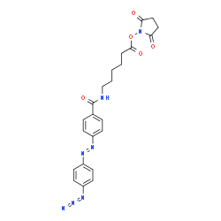 ChemSpider 2D Image | 4-[(E)-(4-Azidophenyl)diazenyl]-N-{6-[(2,5-dioxo-1-pyrrolidinyl)oxy]-6-oxohexyl}benzamide | C23H24N7O5