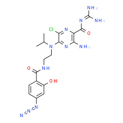 ChemSpider 2D Image | 3-Amino-5-[{2-[(4-azido-2-hydroxybenzoyl)amino]ethyl}(isopropyl)amino]-6-chloro-N-(diaminomethylene)-2-pyrazinecarboxamide | C18H23ClN11O3