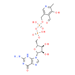 ChemSpider 2D Image | 5'-O-[({[(4-Formyl-5-hydroxy-6-methyl-3-pyridinyl)methoxy](hydroxy)phosphoryl}oxy)(hydroxy)phosphoryl]guanosine | C18H22N6O13P2