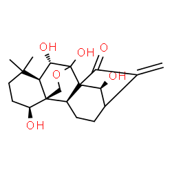 ChemSpider 2D Image | (1alpha,5beta,6beta,9beta,10alpha,14S)-1,6,7,14-Tetrahydroxy-7,20-epoxykaur-16-en-15-one | C20H28O6