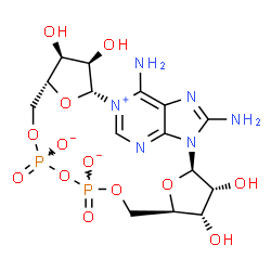 ChemSpider 2D Image | (2R,3R,4S,5R,13R,14S,15R,16R)-18,24-Diamino-3,4,14,15-tetrahydroxy-7,9,11,25,26-pentaoxa-17,19,22-triaza-1-azonia-8,10-diphosphapentacyclo[18.3.1.1~2,5~.1~13,16~.0~17,21~]hexacosa-1(24),18,20,22-tetra
ene-8,10-diolate 8,10-dioxide | C15H21N6O13P2