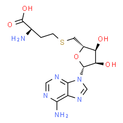 ChemSpider 2D Image | S-adenosyl-D-homocysteine | C14H20N6O5S
