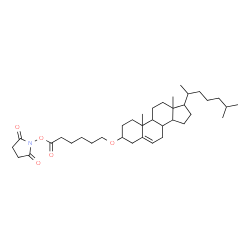 ChemSpider 2D Image | 1-{[6-(Cholest-5-en-3-yloxy)hexanoyl]oxy}-2,5-pyrrolidinedione | C37H59NO5