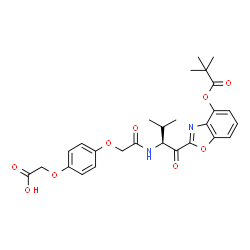 ChemSpider 2D Image | [4-(2-{[(2S)-1-{4-[(2,2-Dimethylpropanoyl)oxy]-1,3-benzoxazol-2-yl}-3-methyl-1-oxo-2-butanyl]amino}-2-oxoethoxy)phenoxy]acetic acid | C27H30N2O9