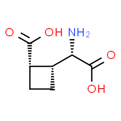 ChemSpider 2D Image | (1S,2R)-2-[(S)-Amino(carboxy)methyl]cyclobutanecarboxylic acid | C7H11NO4