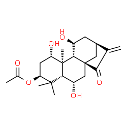 ChemSpider 2D Image | (1alpha,3beta,5beta,6alpha,8alpha,9beta,10alpha,11beta)-1,6,11-Trihydroxy-15-oxokaur-16-en-3-yl acetate | C22H32O6