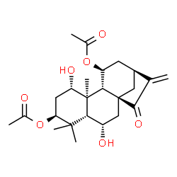 ChemSpider 2D Image | (1alpha,3beta,5beta,6alpha,8alpha,9beta,10alpha,11beta)-1,6-Dihydroxy-15-oxokaur-16-ene-3,11-diyl diacetate | C24H34O7