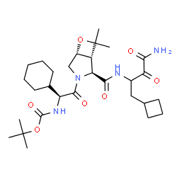 ChemSpider 2D Image | tert-butyl [(1S)-2-{(1R,2S,5R)-2-[(4-amino-1-cyclobutyl-3,4-dioxobutan-2-yl)carbamoyl]-7,7-dimethyl-6-oxa-3-azabicyclo[3.2.0]hept-3-yl}-1-cyclohexyl-2-oxoethyl]carbamate | C29H46N4O7