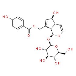 ChemSpider 2D Image | [(1S,4aR,5S,7aS)-1-(beta-L-Glucopyranosyloxy)-5-hydroxy-1,4a,5,7a-tetrahydrocyclopenta[c]pyran-7-yl]methyl 4-hydroxybenzoate | C22H26O11