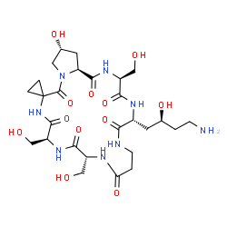 ChemSpider 2D Image | (3'S,6'R,13'R,16'S,23'R,24a'S)-6'-[(2S)-4-amino-2-hydroxybutyl]-23'-hydroxy-3',13',16'-tris(hydroxymethyl)tetradecahydrospiro[cyclopropane-1,19'-pyrrolo[2,1-i][1,4,7,10,13,16,19]heptaazacyclodocosine]-1',4',7',11',14',17',20'(8'H,18'H)-heptone | C27H44N8O12
