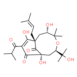 ChemSpider 2D Image | (1S,3R,6S,8S)-1,6,9-Trihydroxy-3-(2-hydroxy-2-propanyl)-10-isobutyryl-5,5-dimethyl-8-(3-methyl-2-buten-1-yl)-4-oxabicyclo[6.3.1]dodec-9-ene-11,12-dione | C25H38O8