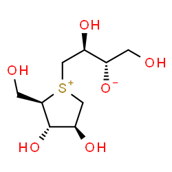 ChemSpider 2D Image | (2S,3S)-4-[(2R,3S,4S)-3,4-Dihydroxy-2-(hydroxymethyl)tetrahydro-1-thiopheniumyl]-1,3-dihydroxy-2-butanolate | C9H18O6S