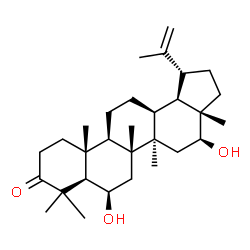 ChemSpider 2D Image | (6beta,13alpha,16beta)-6,16-Dihydroxylup-20(29)-en-3-one | C30H48O3