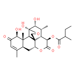 ChemSpider 2D Image | (1beta,11beta,12alpha,15beta)-1,11,12-Trihydroxy-2,16-dioxo-11,20-epoxypicras-3-en-15-yl 2-methylbutanoate | C25H34O9
