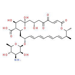 ChemSpider 2D Image | (1R,3S,7E,11R,12S,13E,15E,17E,19E,21R,23S,24R,25S)-21-[(3-Amino-3,6-dideoxy-beta-D-mannopyranosyl)oxy]-1,3,25-trihydroxy-11,12-dimethyl-5,6,9-trioxo-10,27-dioxabicyclo[21.3.1]heptacosa-7,13,15,17,19-p
entaene-24-carboxylic acid | C34H47NO14