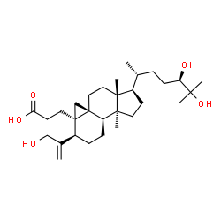 ChemSpider 2D Image | 3-[(1R,3aS,3bR,6R,6aR,7aS,9aR)-1-[(2R,5R)-5,6-Dihydroxy-6-methyl-2-heptanyl]-6-(3-hydroxy-1-propen-2-yl)-3a,9a-dimethyldecahydro-1H-cyclopenta[a]cyclopropa[e]naphthalen-6a(7H)-yl]propanoic acid | C30H50O5