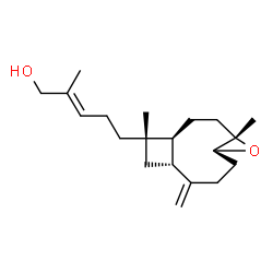 ChemSpider 2D Image | (2E)-5-[(1S,4S,6S,10R,12S)-4,12-Dimethyl-9-methylene-5-oxatricyclo[8.2.0.0~4,6~]dodec-12-yl]-2-methyl-2-penten-1-ol | C20H32O2