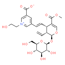 ChemSpider 2D Image | 5-{(E)-2-[(2S,3R,4S)-2-(beta-D-Glucopyranosyloxy)-5-(methoxycarbonyl)-3-vinyl-3,4-dihydro-2H-pyran-4-yl]vinyl}-1-(2-hydroxyethyl)-3-pyridiniumcarboxylate | C25H31NO12