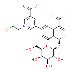 ChemSpider 2D Image | 5-{(E)-2-[(2S,3R,4S)-5-Carboxy-2-(beta-D-glucopyranosyloxy)-3-vinyl-3,4-dihydro-2H-pyran-4-yl]vinyl}-1-(2-hydroxyethyl)-3-pyridiniumcarboxylate | C24H29NO12
