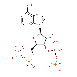 ChemSpider 2D Image | 3',5'-Bis-O-[(phosphonatooxy)phosphinato]adenosine | C10H11N5O16P4