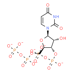 ChemSpider 2D Image | 3',5'-Bis-O-[(phosphonatooxy)phosphinato]uridine | C9H10N2O18P4